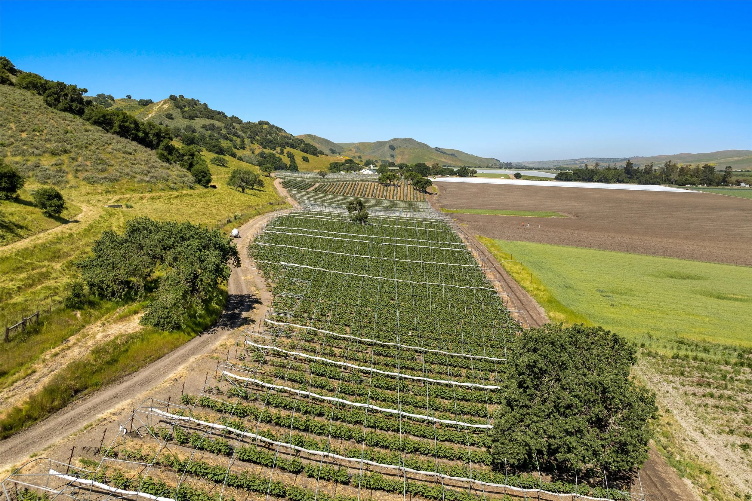 41-DJI_0661.jpg