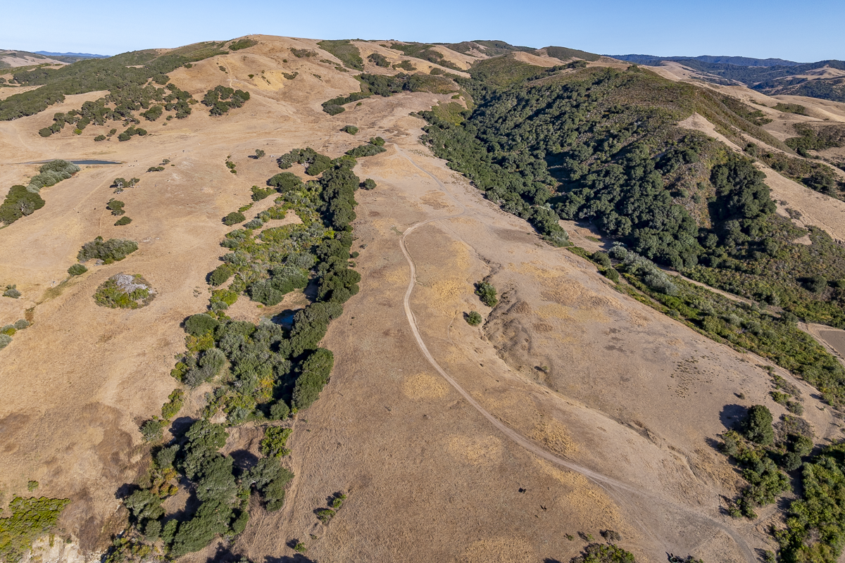 Big Bend Ranch - July 2026 - Web-077.png