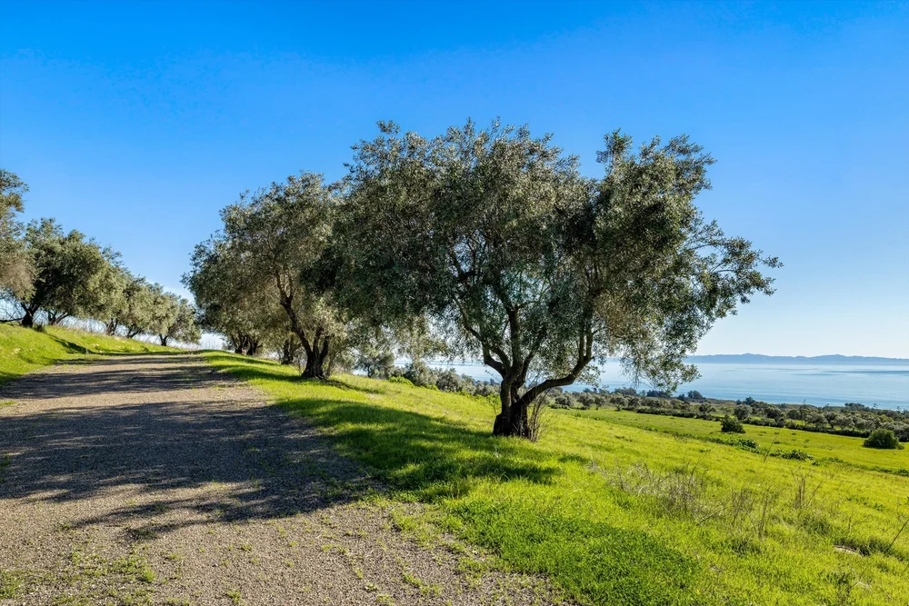 Naples/Santa Barbara Ranch — coast & landscape photograph