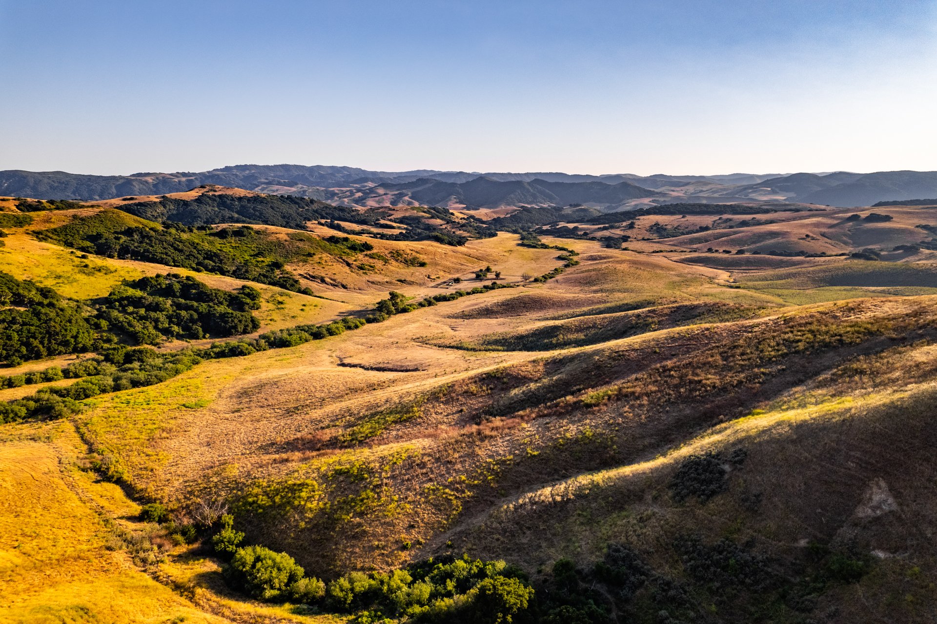 Ytias Ranch Web - 24.jpg