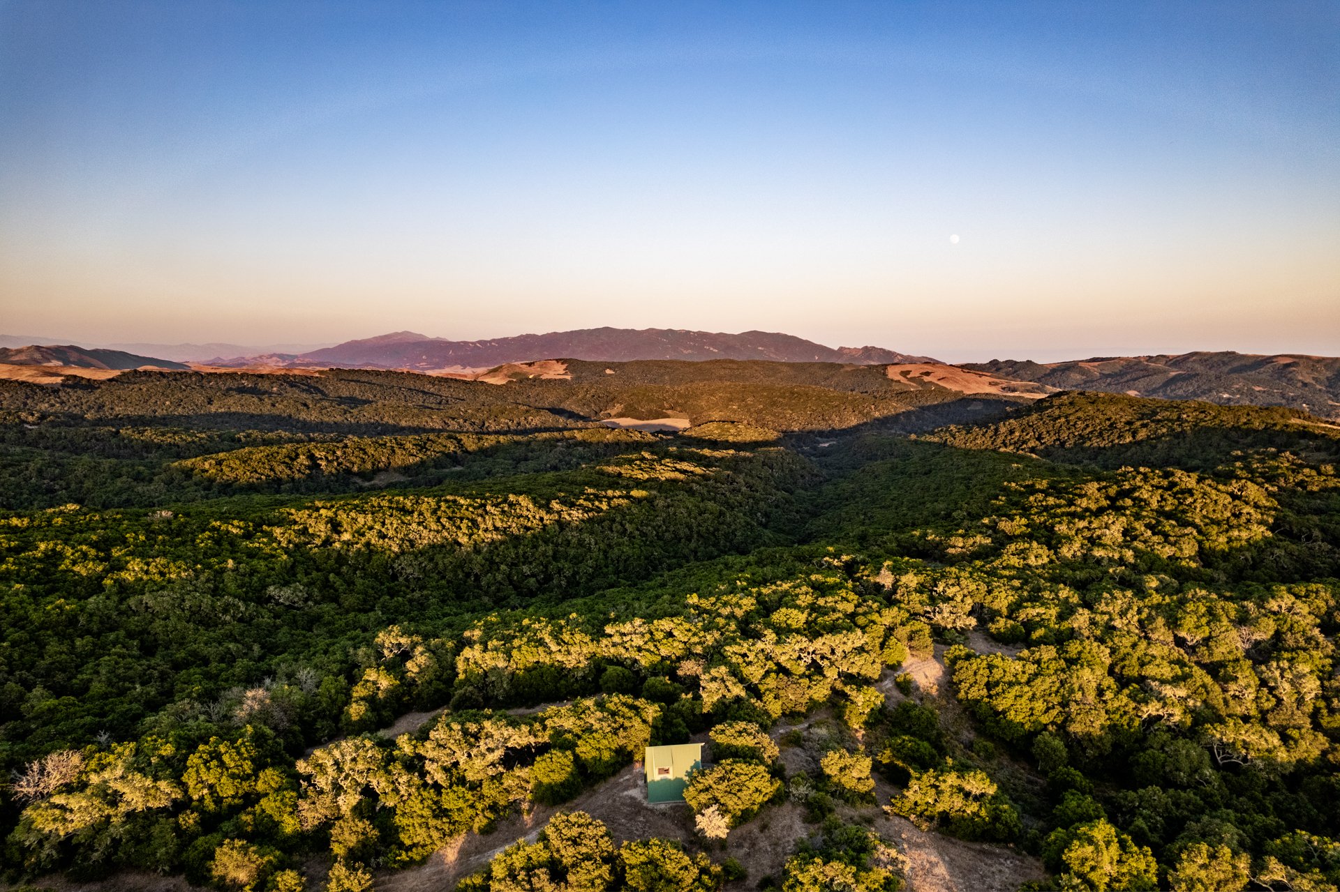 Ytias Ranch Web - 7.jpg