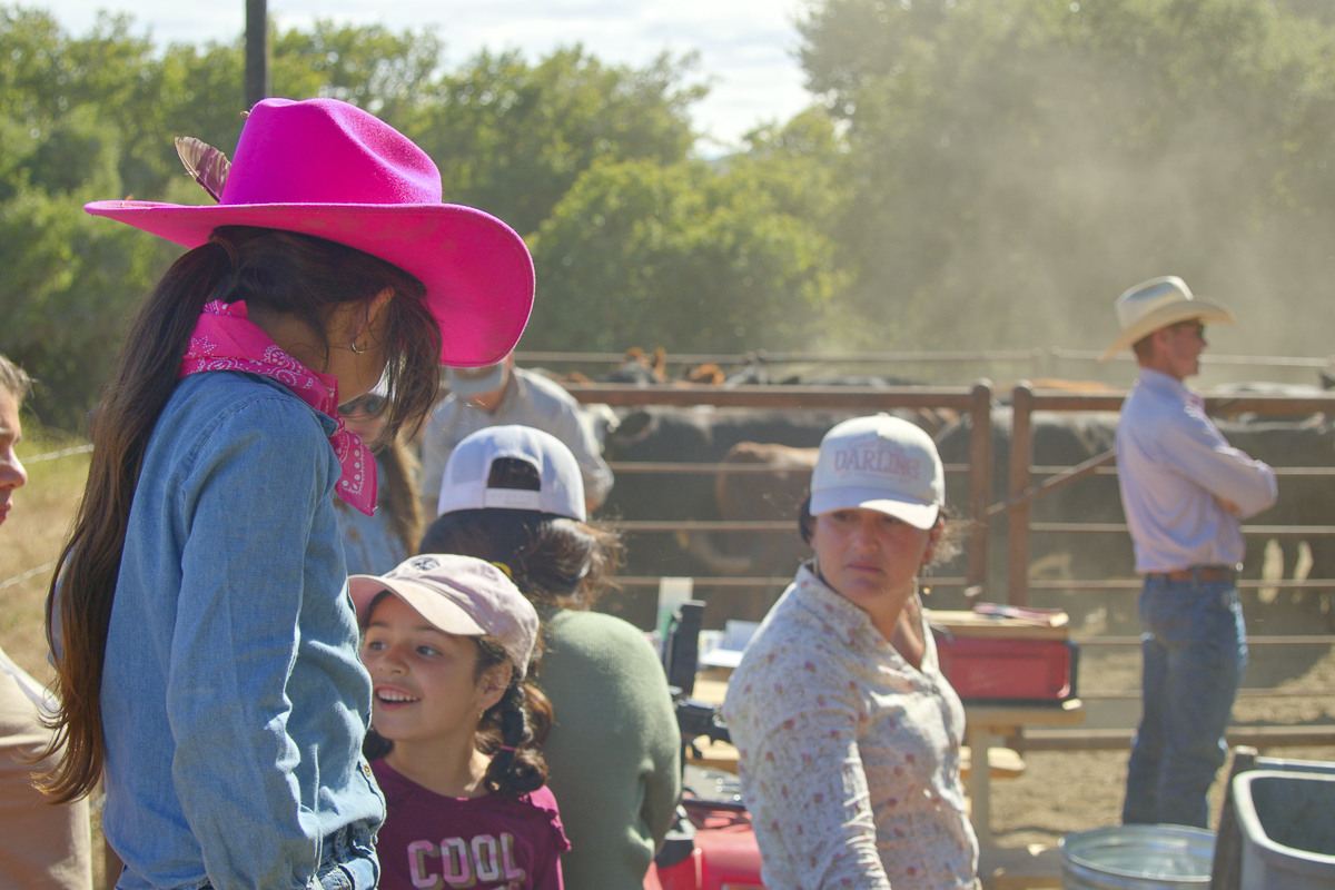 Big Bend Ranch - Working Country - Web-15.png
