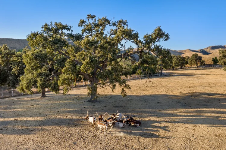 Circle K Front Ranch — property photograph 108