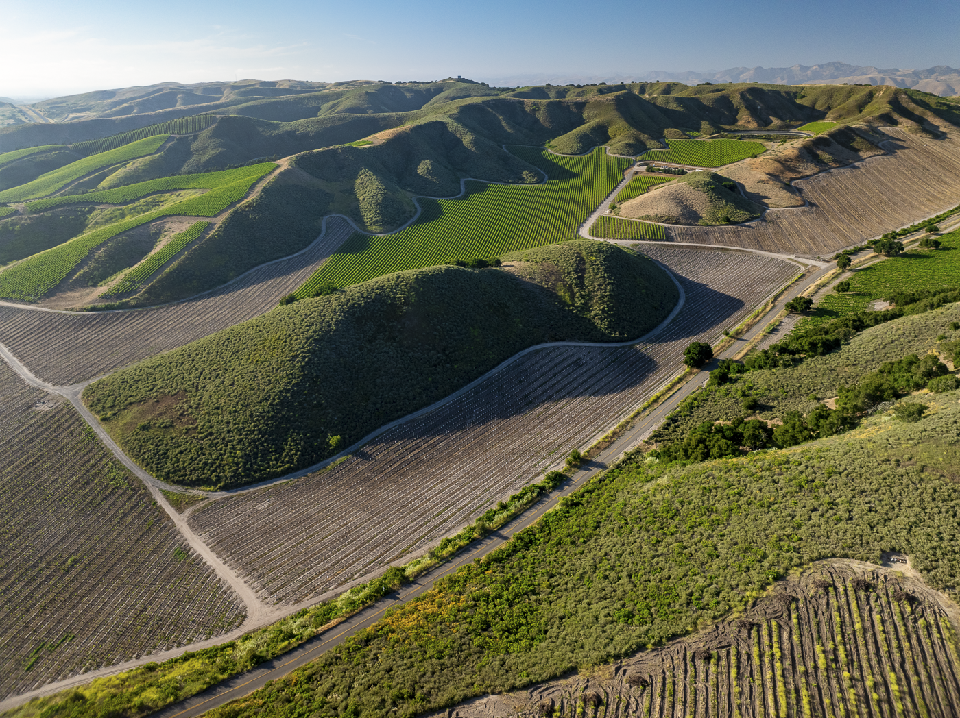 Loma Verde 2026 - Web-24.png