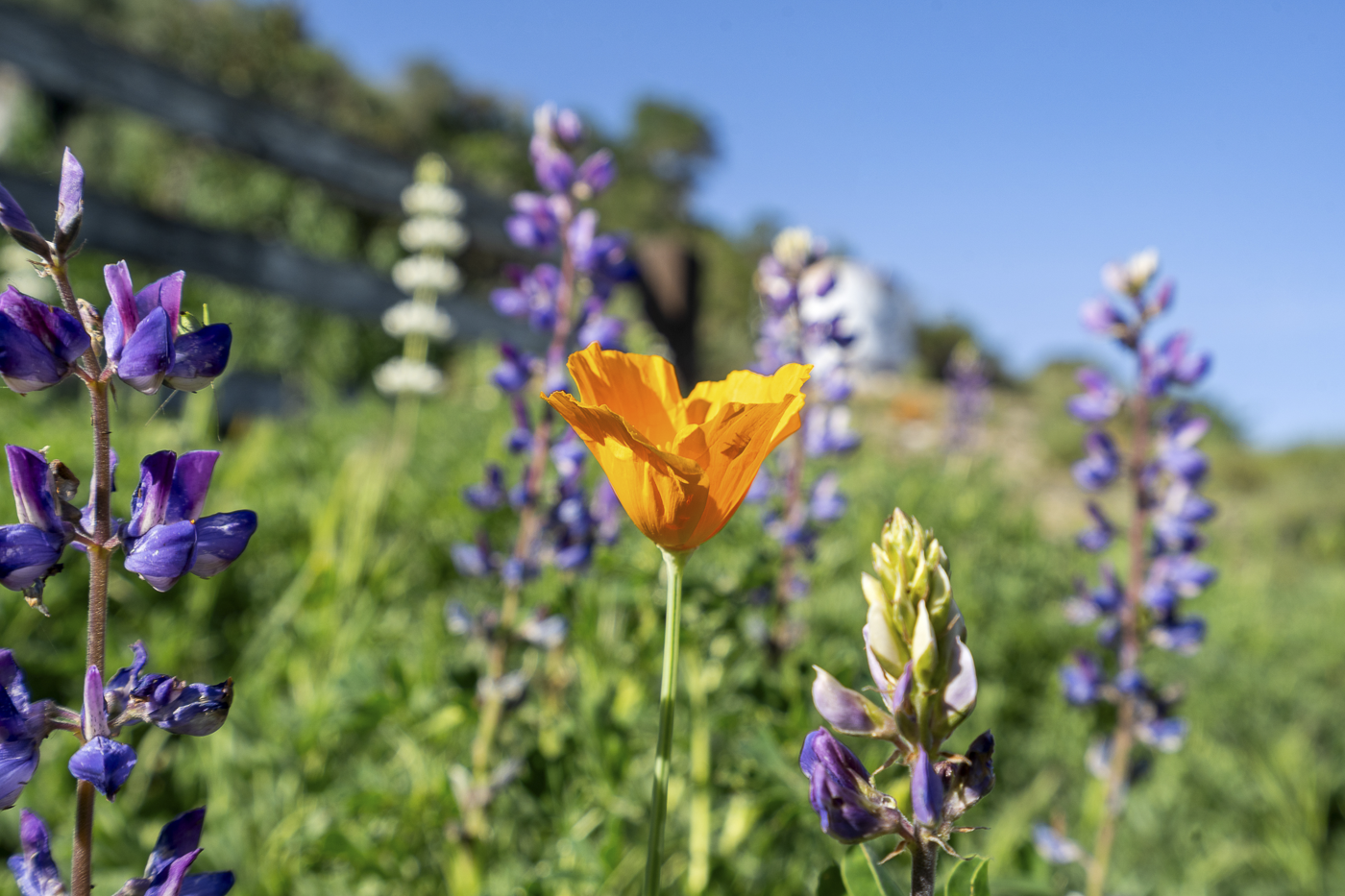 3226 Jalama - March 2026 - Web-69.png