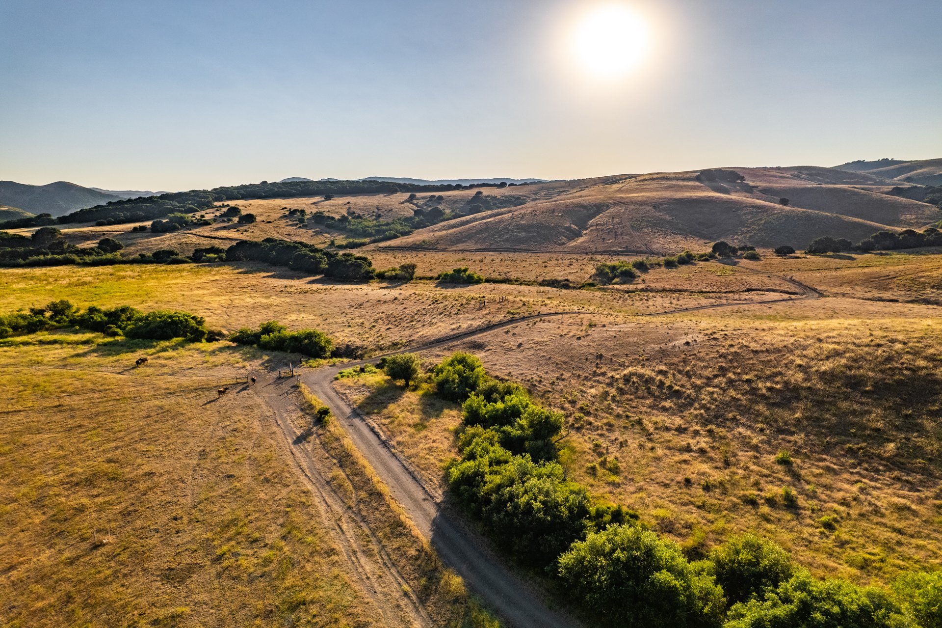 Ytias Ranch Web - 20.jpg