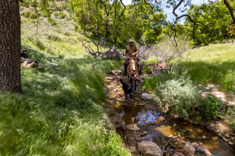Poe Ranch — property photograph 4