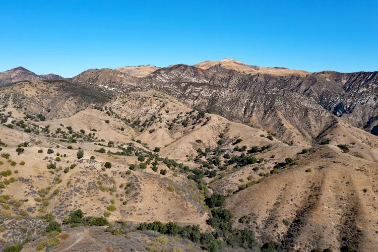 4 Oaks Ranch — property photograph 15