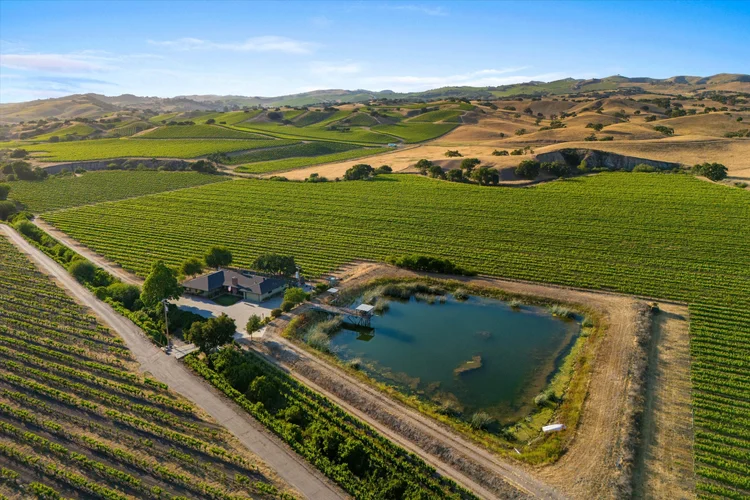 Carrari Vineyard — property photograph 16