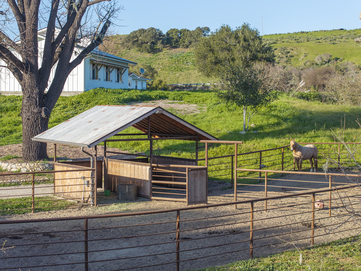 Big Bend Ranch - July 2026 - Web-047.png