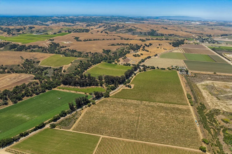 Goodchild Vineyard — property photograph 4