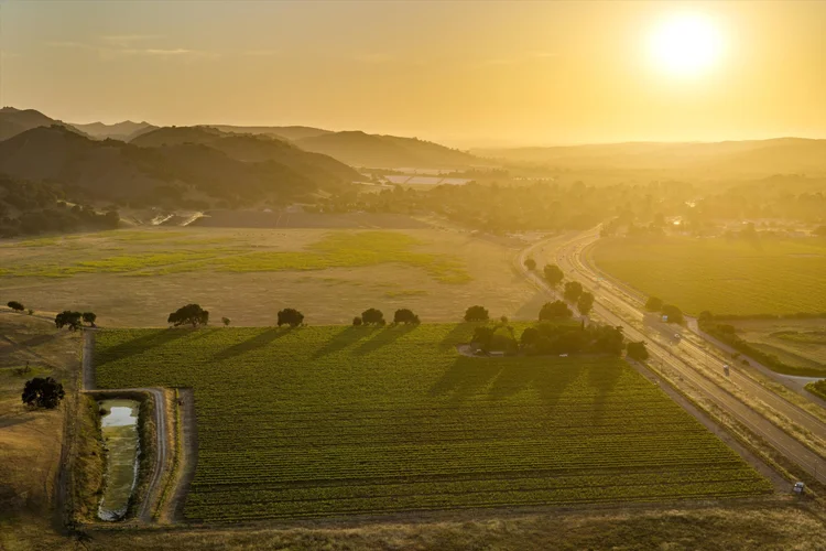 Ron’s Vineyard — property photograph 13