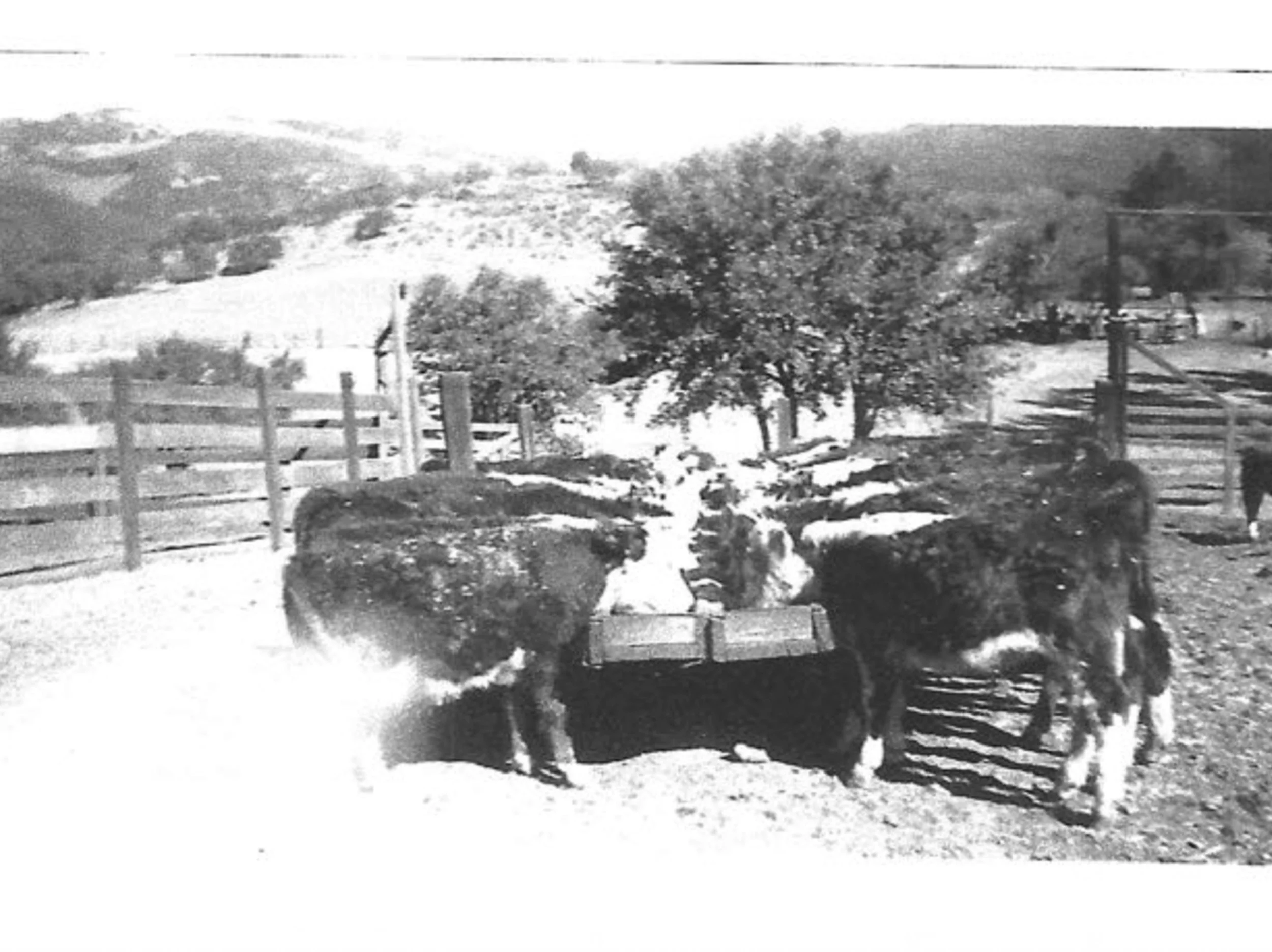Huasna Historical Photos Horizontal - 4.jpg