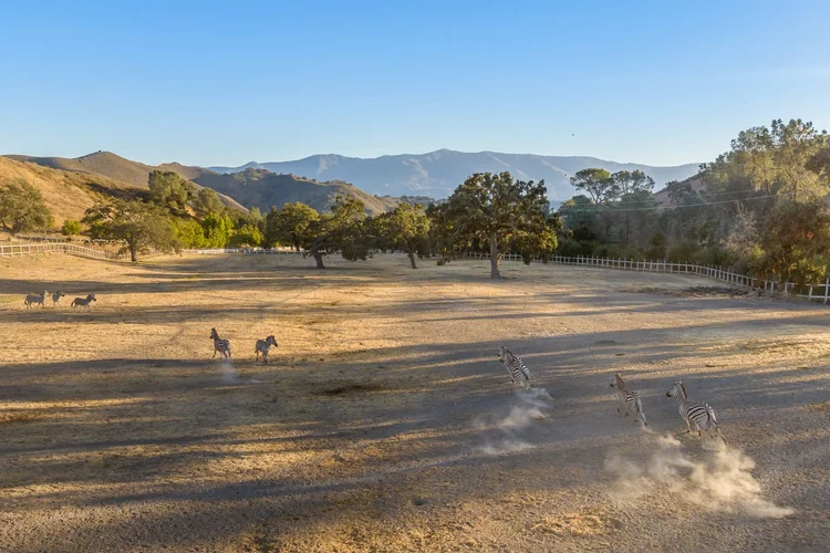 Circle K Front Ranch — property photograph 114