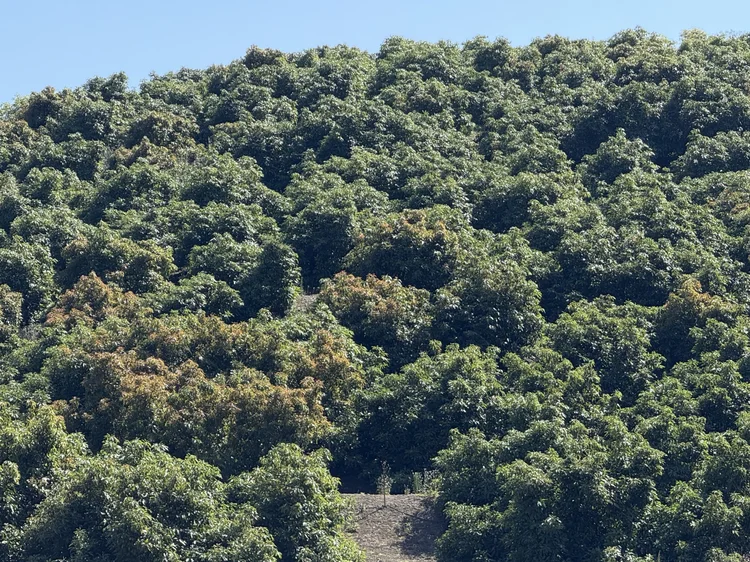 Rancho del Ciervo — property photograph 31