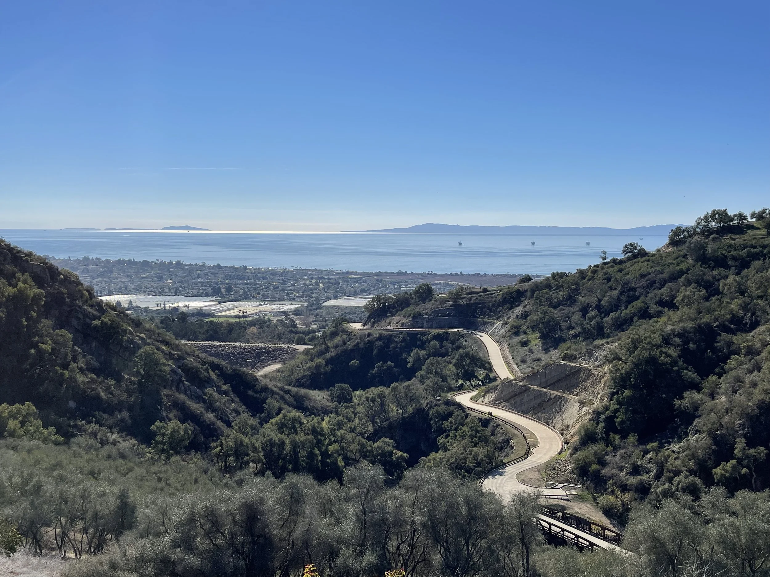 View from Lot 17