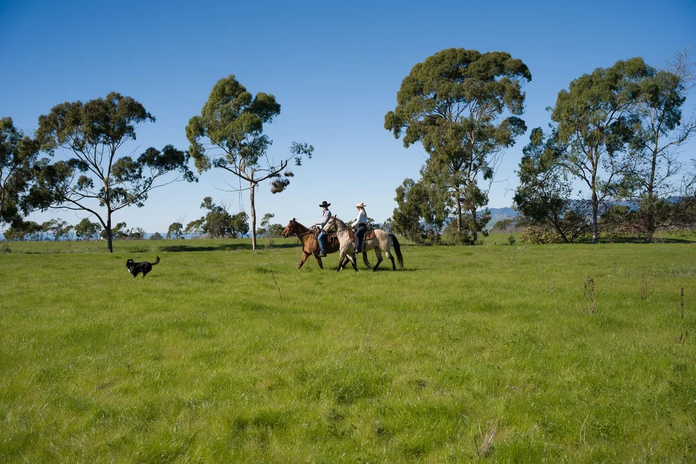 Naples/Santa Barbara Ranch — coast & landscape photograph