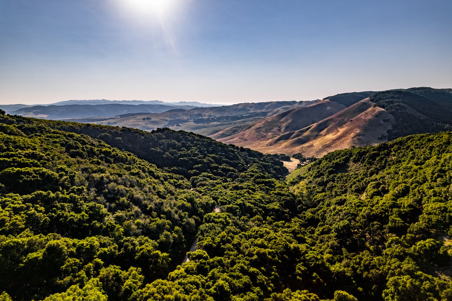 Ytias Ranch Web - 28.jpg