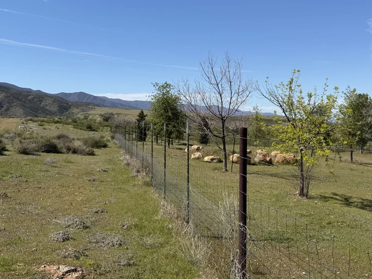 Wetzstein Ranch — property photograph 19