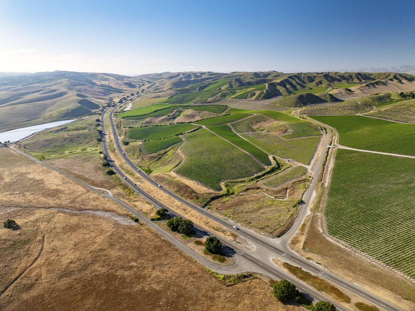 Loma Verde 2026 - Web-1.png