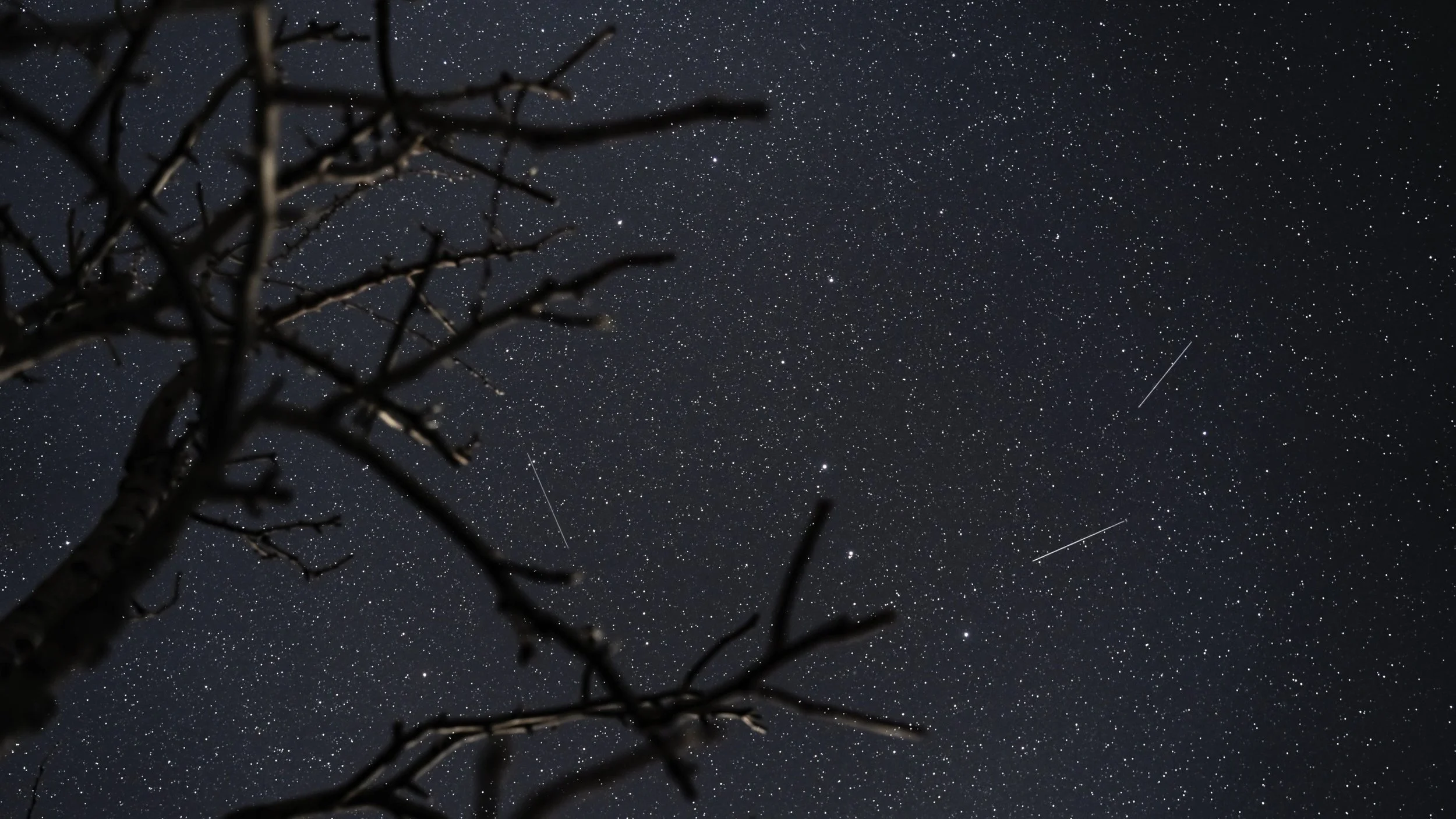 Night Starry Sky 1_1.7.1.jpg