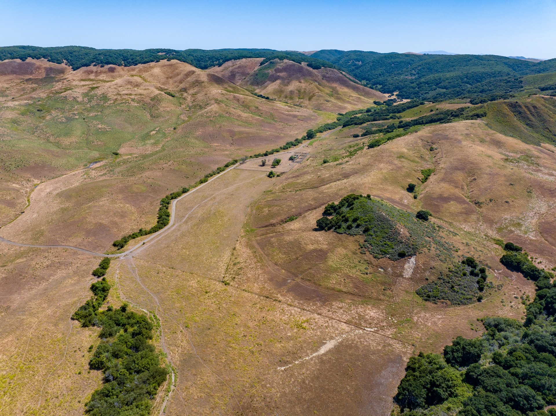 Ytias Ranch Web - 16.jpg