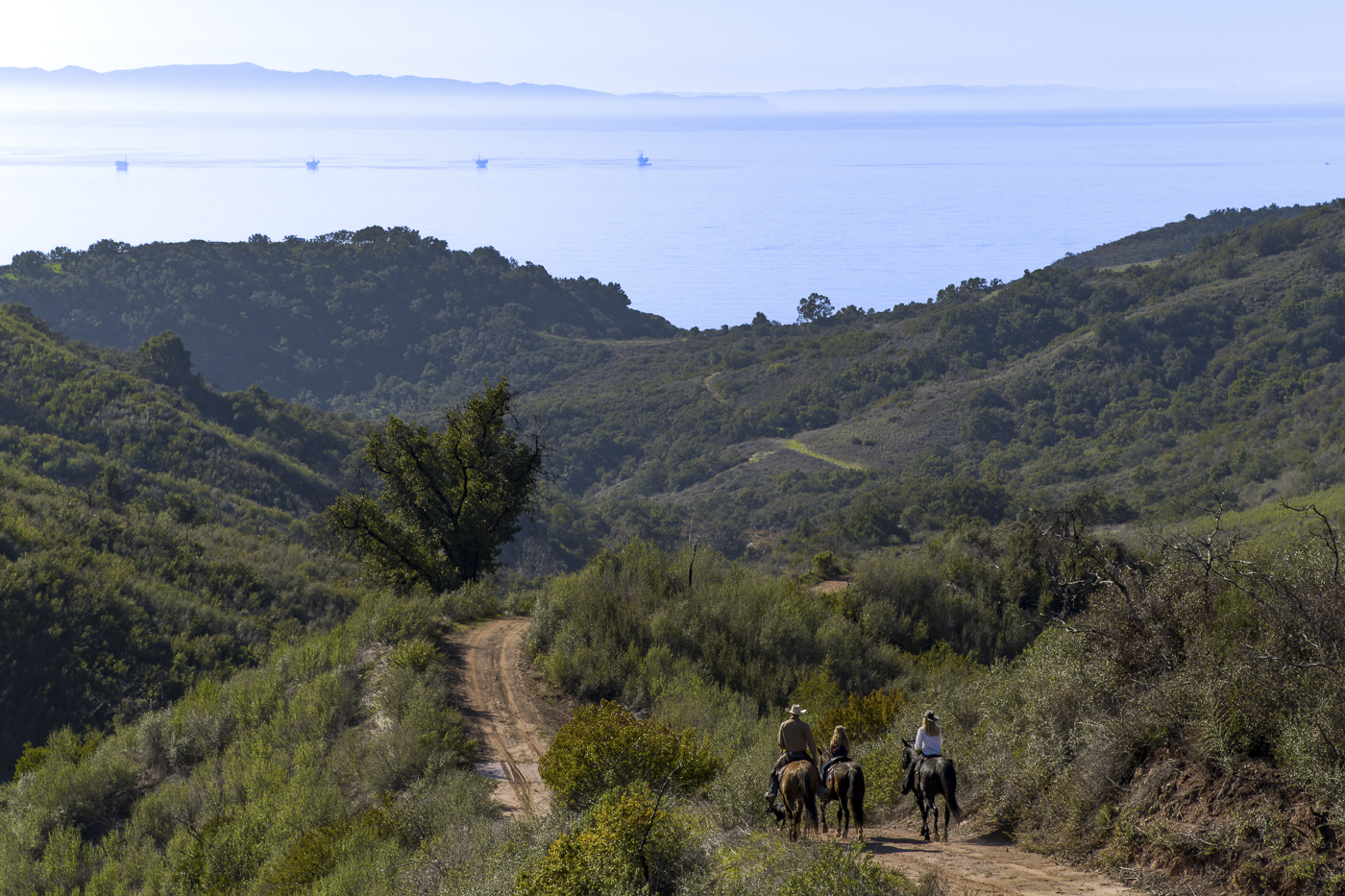 RMA Lifestyle Photos - Web-6.png