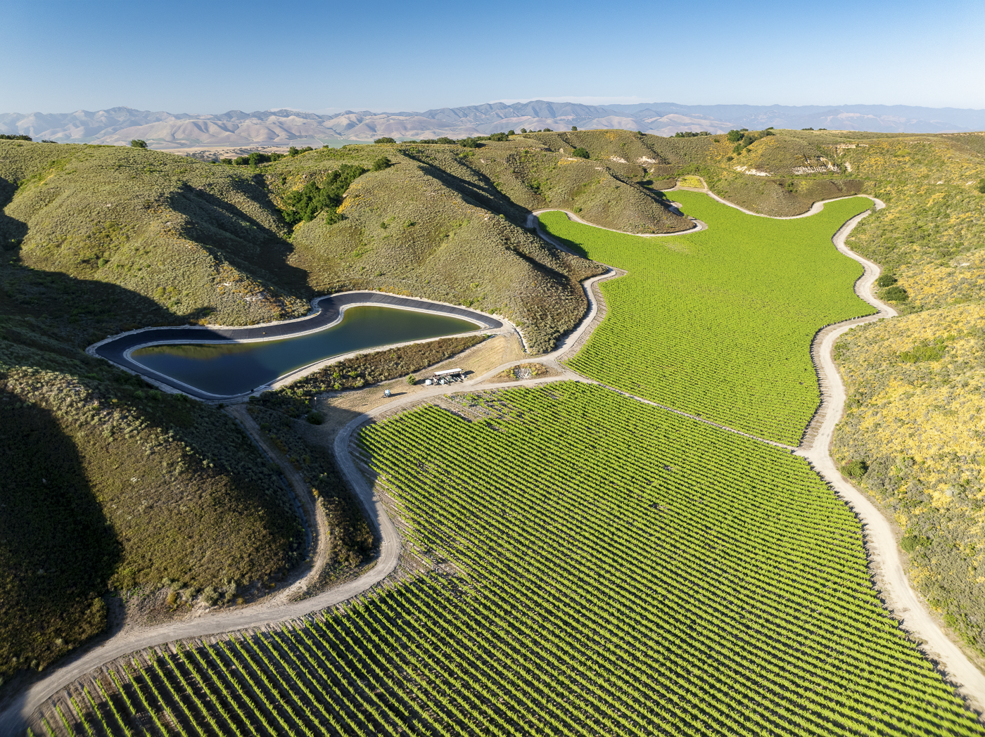 Loma Verde 2026 - Web-15.png