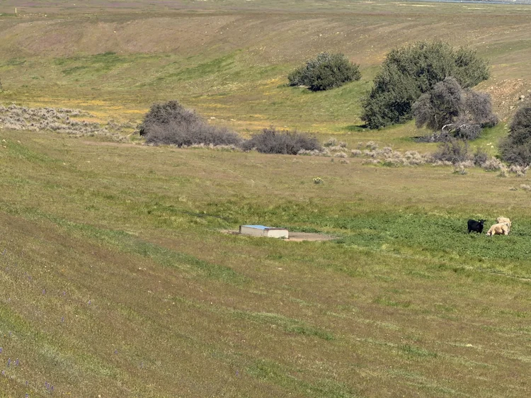 Wetzstein Ranch — property photograph 20