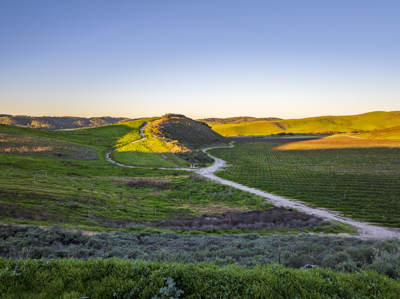 Loma Verde 2026 - Web-39.png