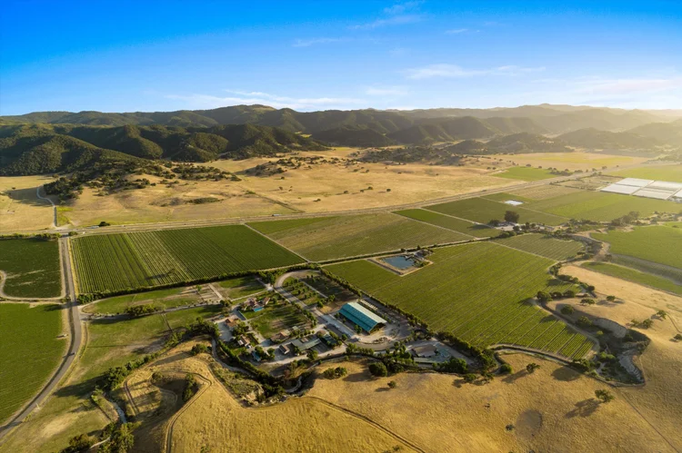 Carrari Vineyard — property photograph 8