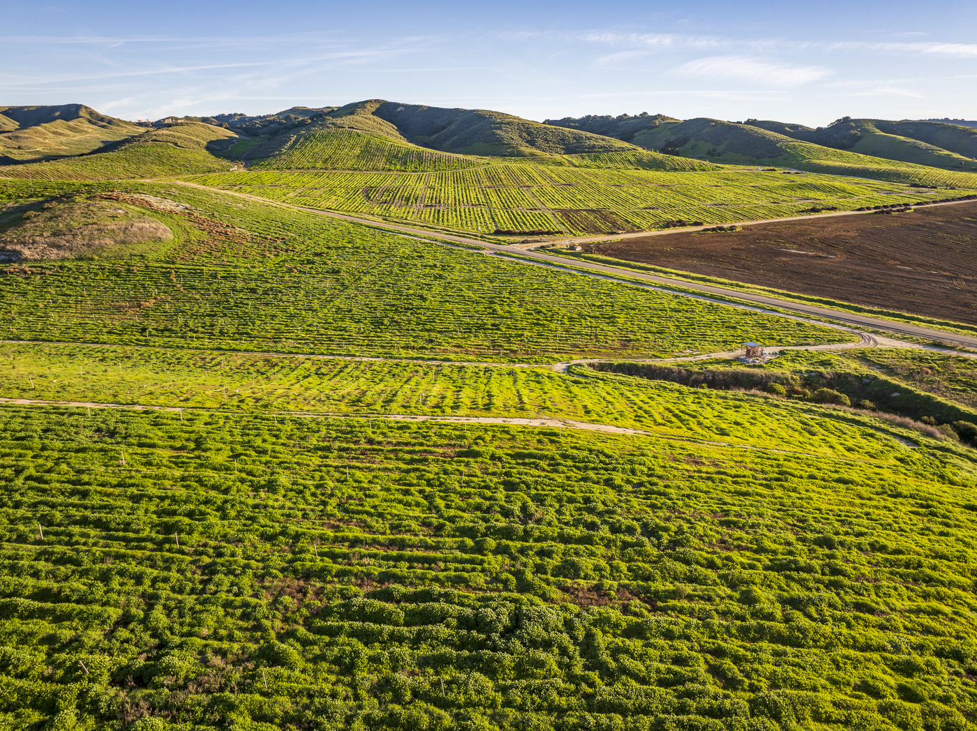 Loma Verde 2026 - Web-38.png