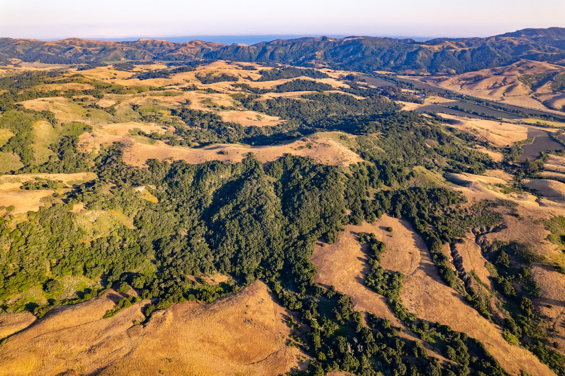 Ytias Ranch Web - 32.jpg