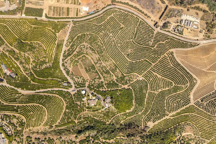 Half Barrel Ranch — property photograph 66