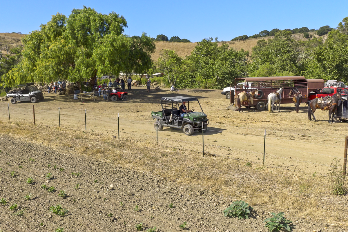 Big Bend Ranch - Working Country - Web-03.png
