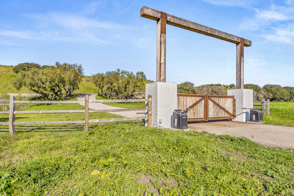 Big Bend Ranch — horse & cattle view 23