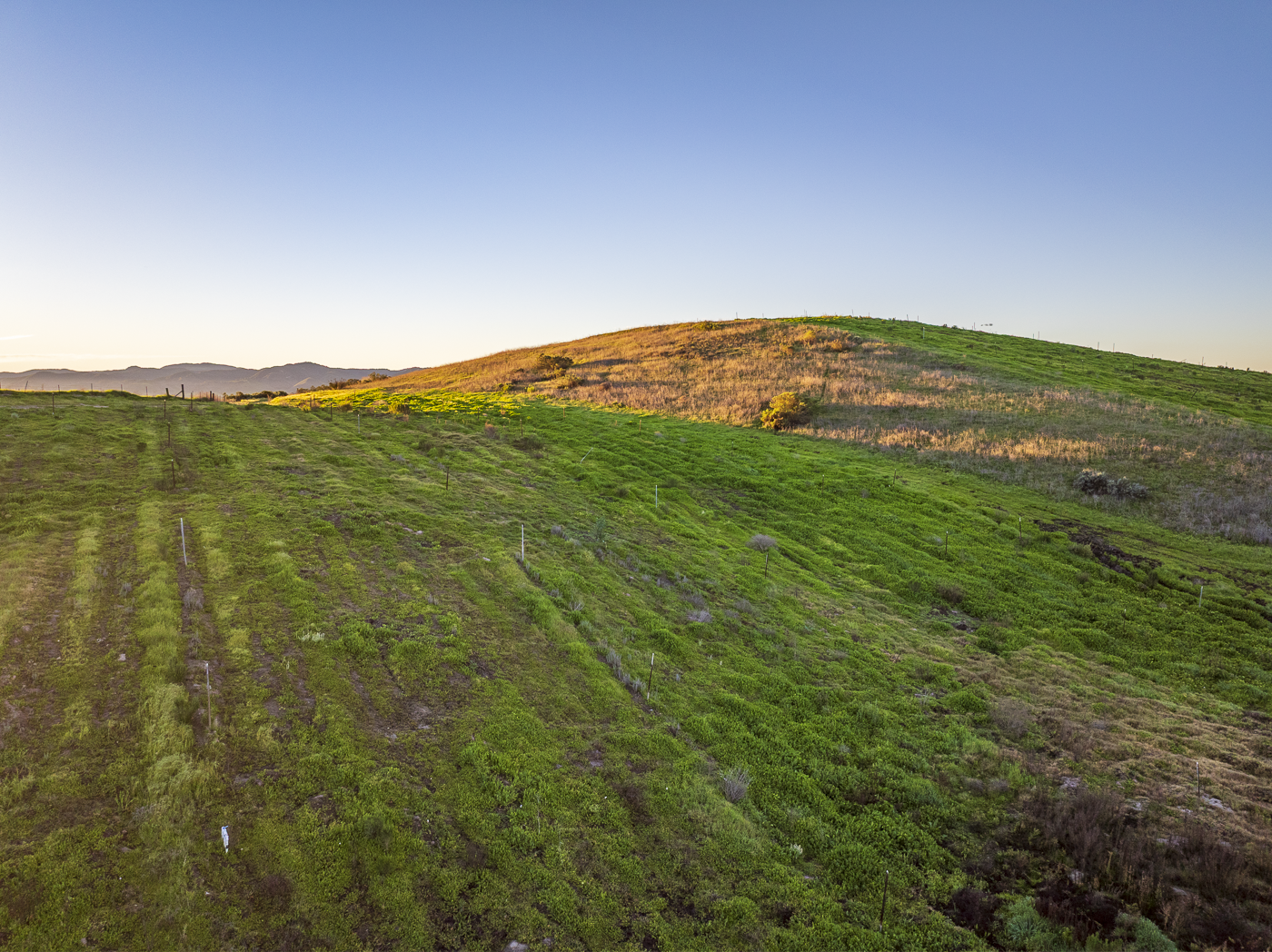 Loma Verde 2026 - Web-42.png