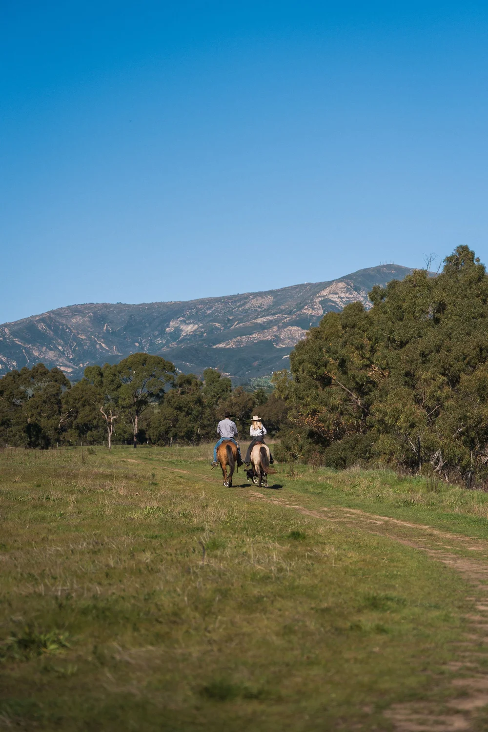 Naples/Santa Barbara Ranch — coast & landscape photograph