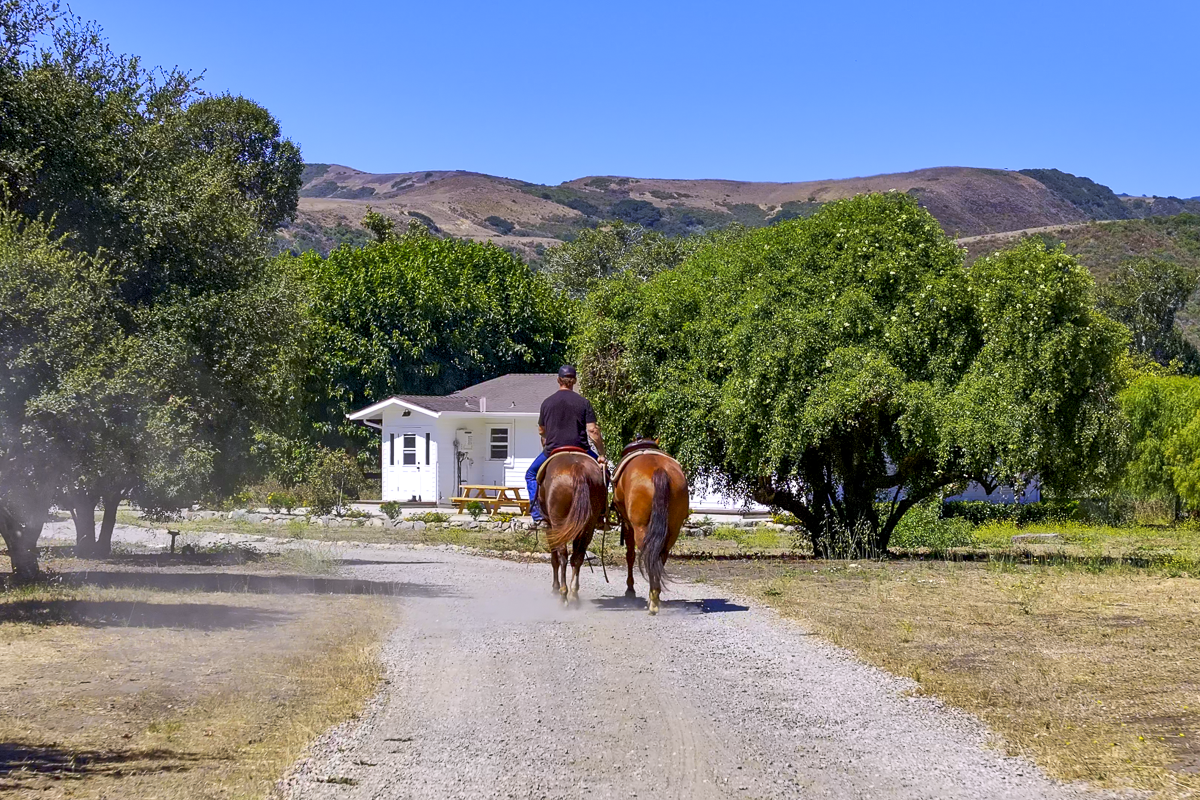 Big Bend Ranch - Built to Work - Web-17.png