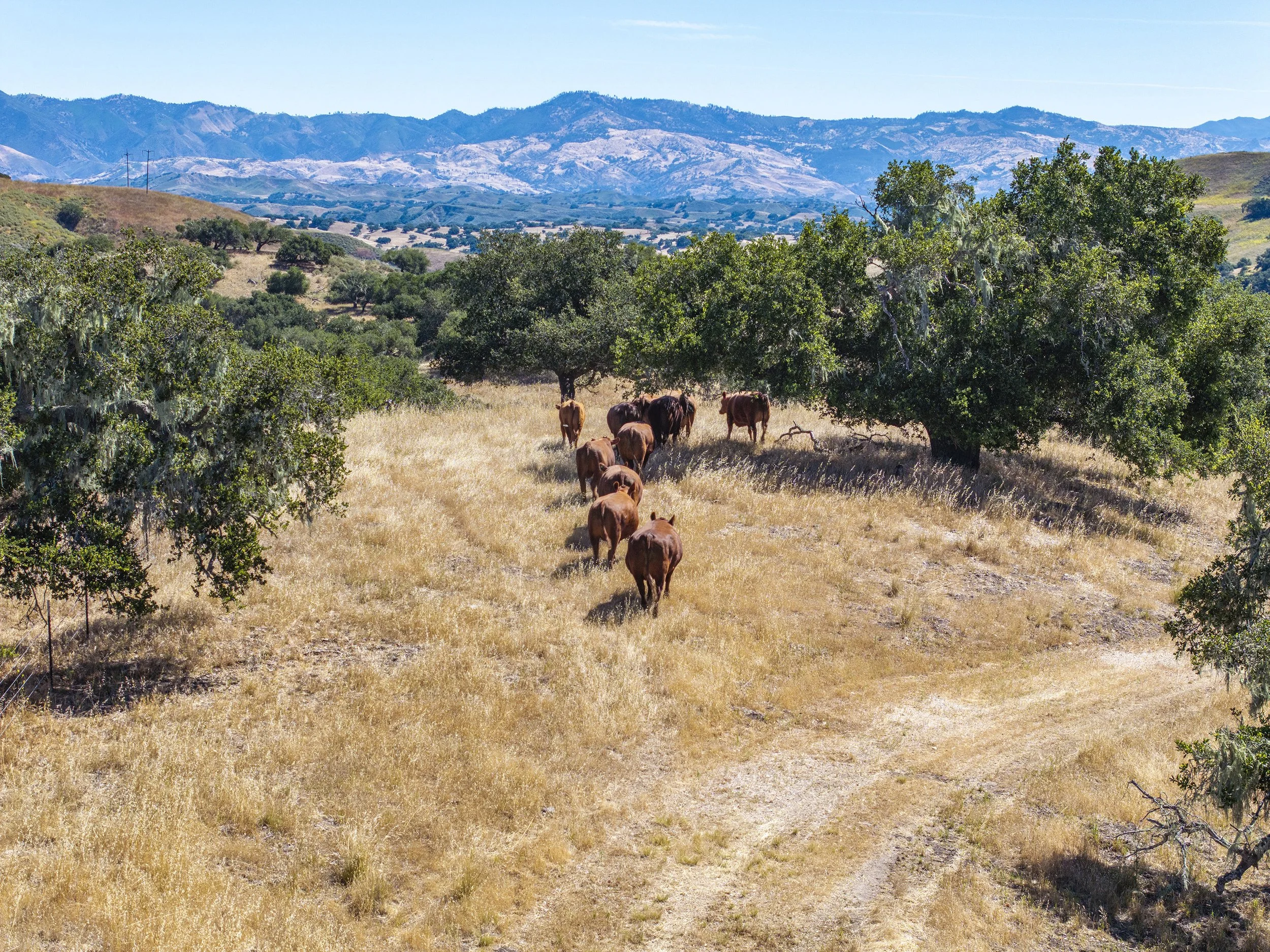 47 MLS  - 3226 Jalama.jpg