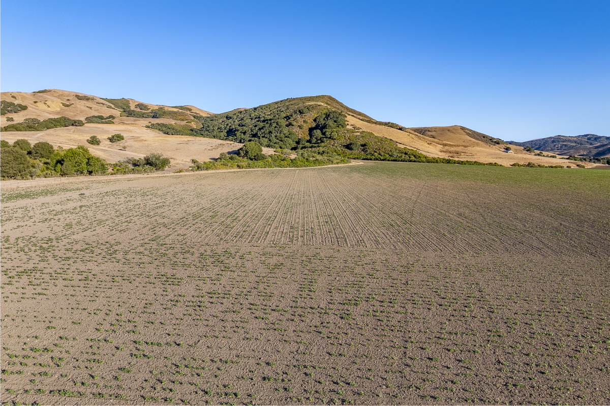 Big Bend Ranch - July 2026 - Web-090.png