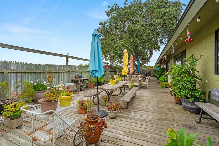 Carrari Vineyard — property photograph 31