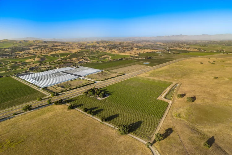Ron’s Vineyard — property photograph 4