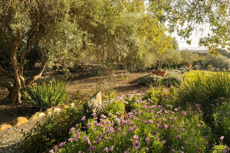 JTR Ranch — property photograph 91