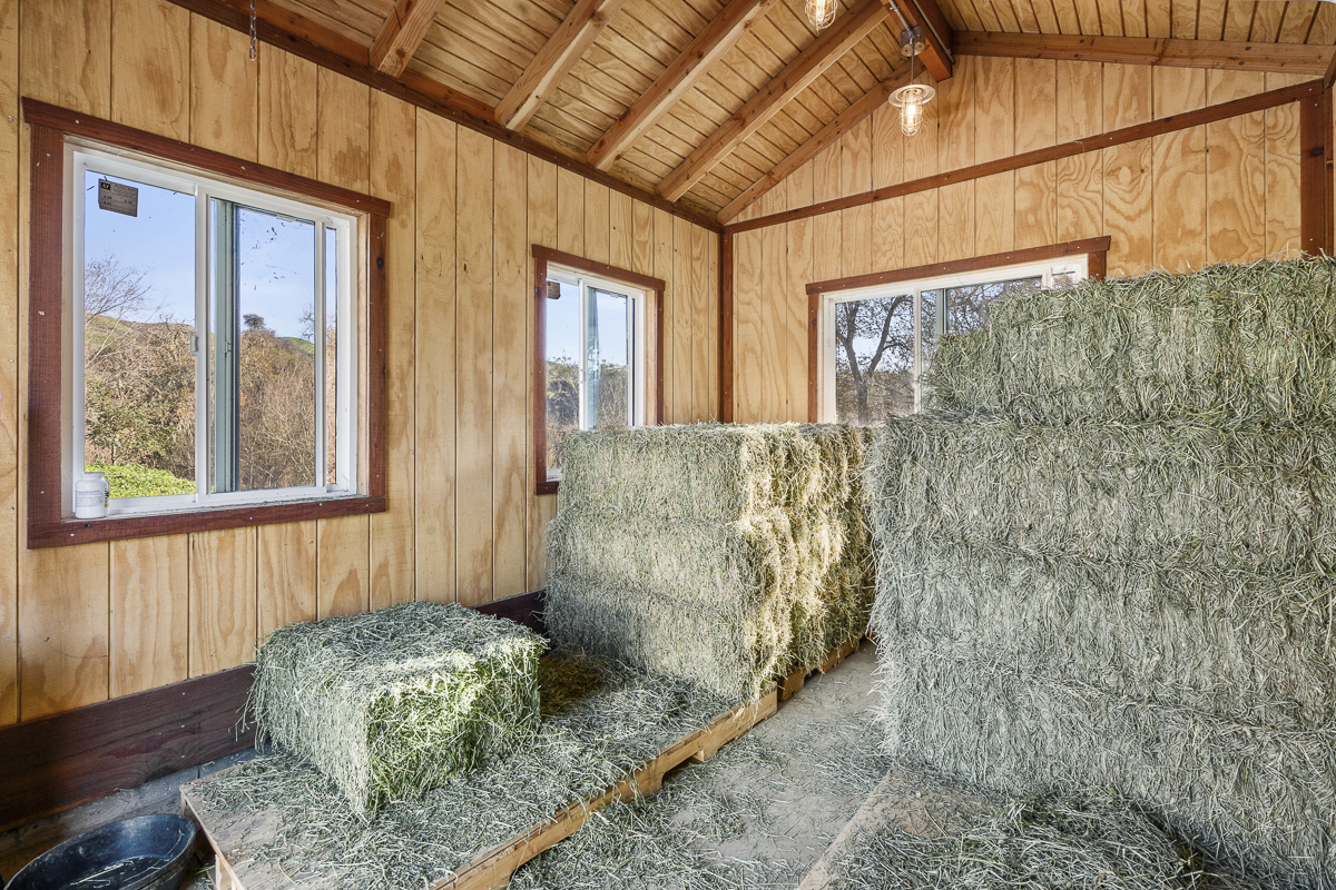 Big Bend Ranch - Built to Work - Web-46.png