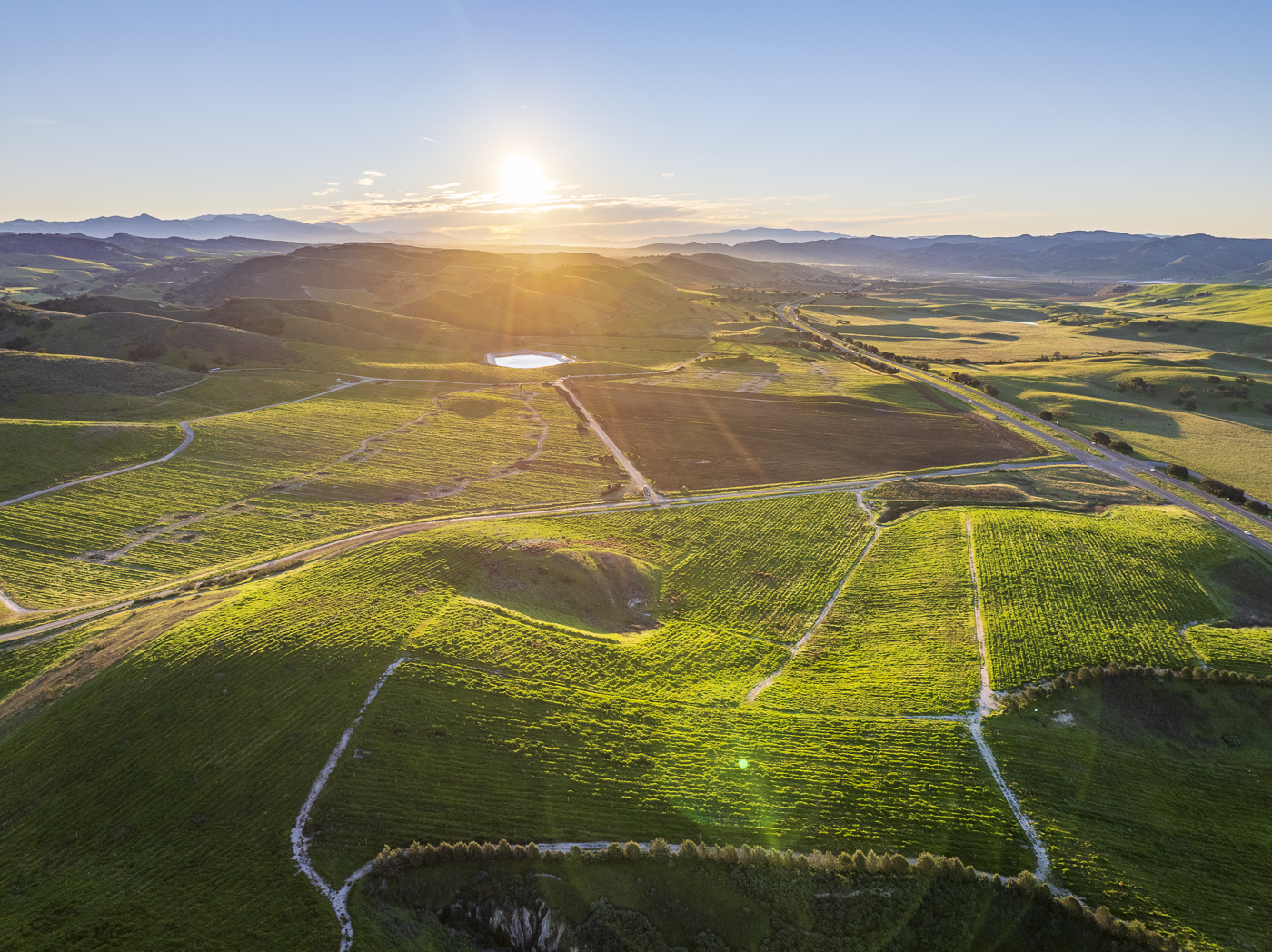 Loma Verde 2026 - Web-48.png