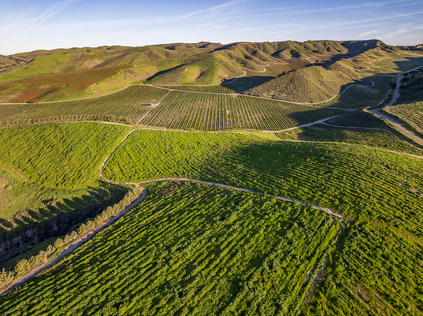 Loma Verde 2026 - Web-37.png