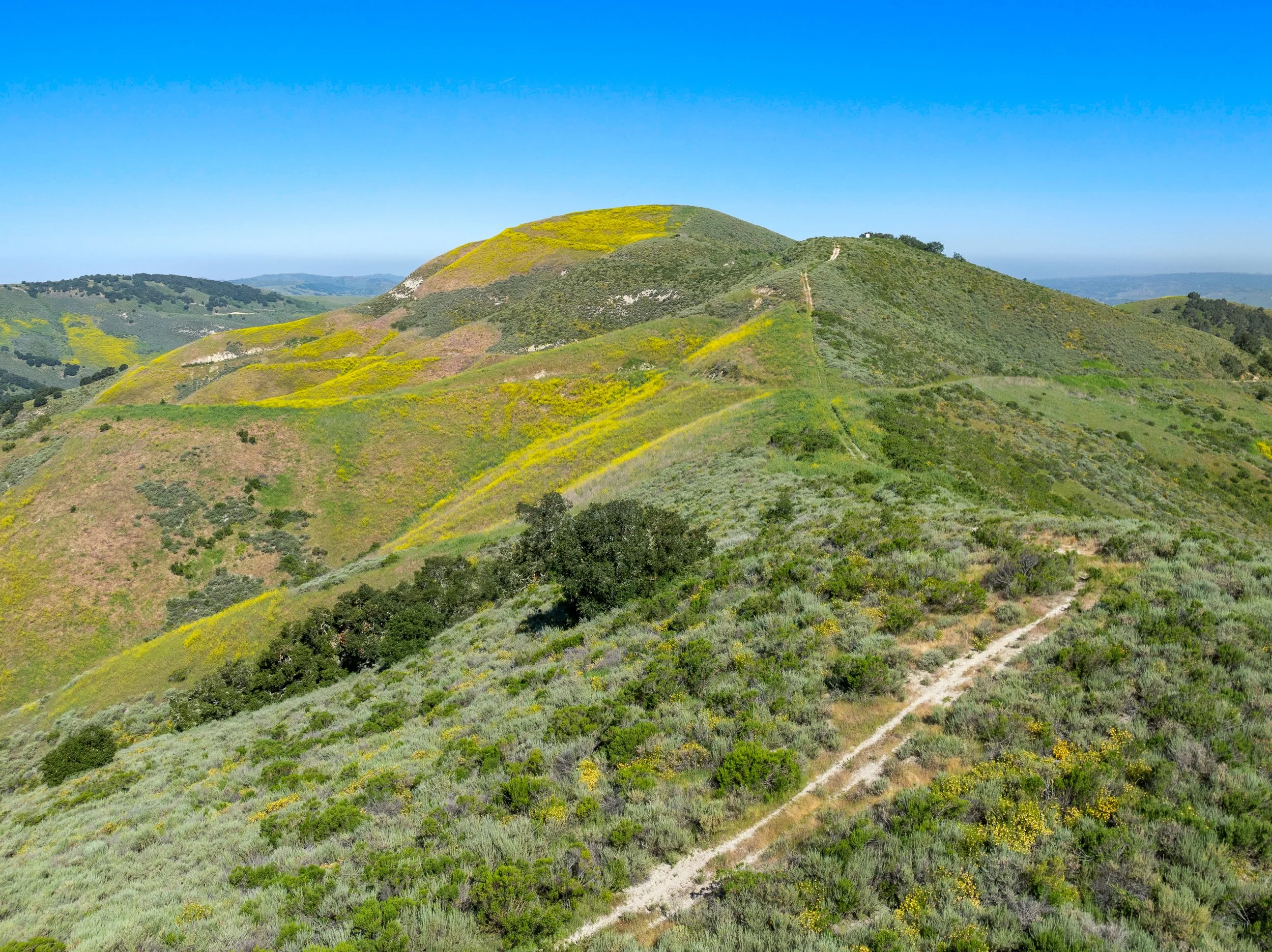 30-DJI_0599.jpg
