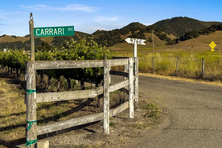 Carrari Vineyard — property photograph 23