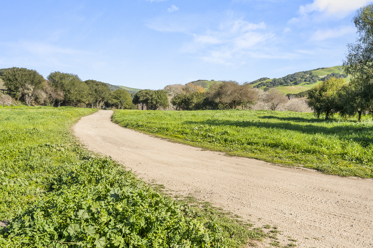 Big Bend Ranch - Built to Work - Web-51.png
